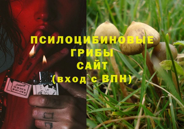 apvp Бородино