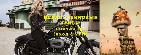 apvp Бородино