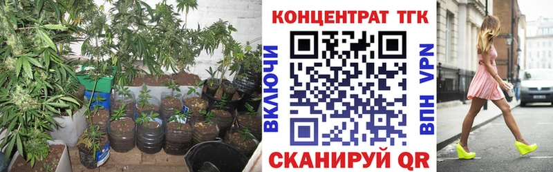 ТГК концентрат  Бузулук 