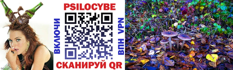 Галлюциногенные грибы Psilocybine cubensis  Бузулук 